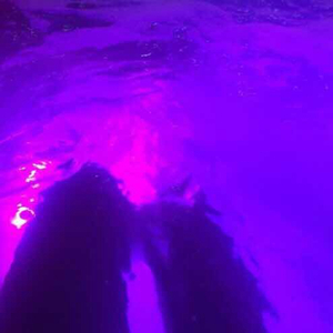 中国妇女裸体浓毛BB
